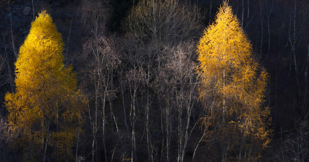 transformación-peroonal-meditación-The-Source